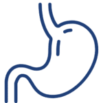 Preservation of Anatomy - Vipulroy Rathod