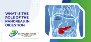 What Is the Role of the Pancreas in Digestion