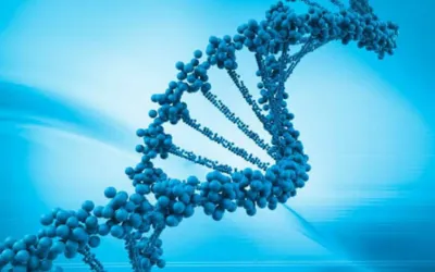 __family history _ genetics | dr. Vipulroy rathod | dr. Vipulroy rathod Blue DNA double helix model against a light blue gradient background.