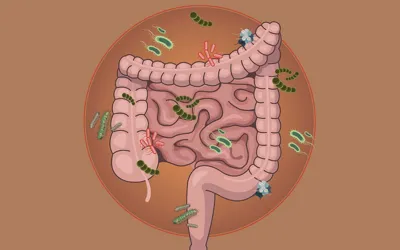 _ gut microbiome changes | dr. Vipulroy rathod | dr. Vipulroy rathod Illustration of the large intestine with colorful bacteria surrounding and inside the colon, illustrating the gut microbiome.