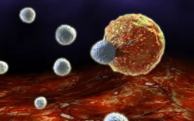 _ immune system dysfunction | dr. Vipulroy rathod | dr. Vipulroy rathod Illustration of a large, textured orange-red cell being approached by several small round white cells against a reddish tissue-like background, suggesting immune interaction.